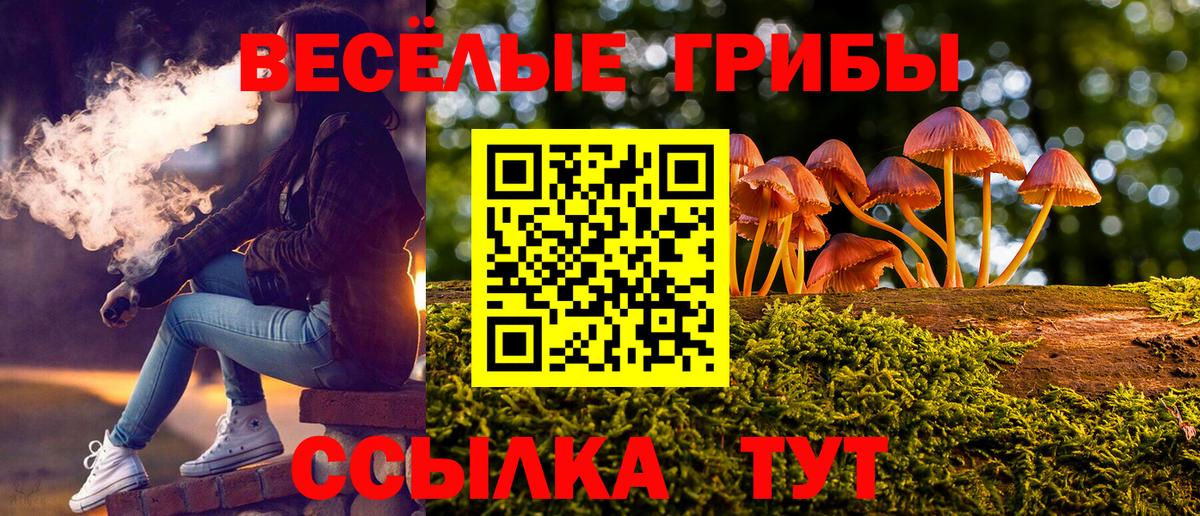 Псилоцибиновые грибы Psilocybe  Вход с VPN  Саров 